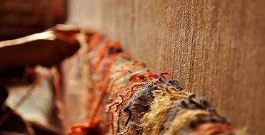 بنر | شرکت فرش